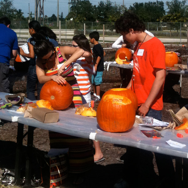 placeholder image-sq