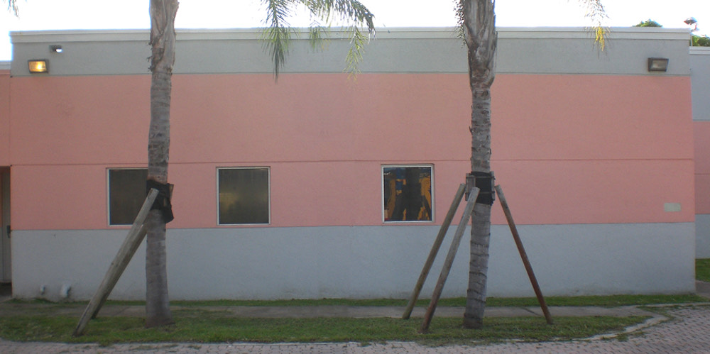 Before%20Paint%20the%20park%20Jacklyn%20Laflamme%20artist squashed